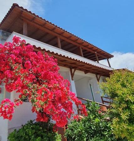 דרמי Xheko Rooms מראה חיצוני תמונה