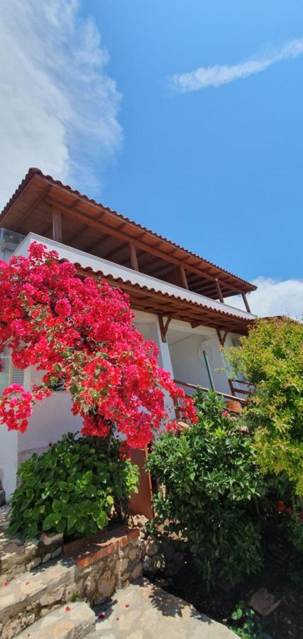 דרמי Xheko Rooms מראה חיצוני תמונה