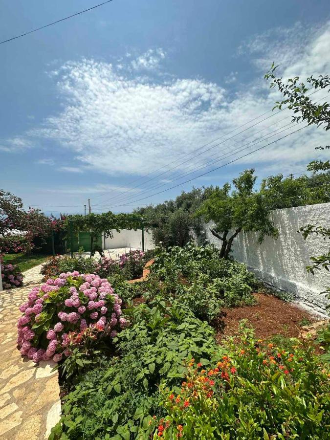דרמי Xheko Rooms מראה חיצוני תמונה